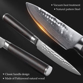 "B1Z 2pcs Knife Set 1 pc 8 inch chef knife, 1 pc 5 inch utility knife 67 Layers Damascus steel having Nature ebony Wood Handle